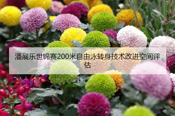 潘展乐世锦赛200米自由泳转身技术改进空间评估