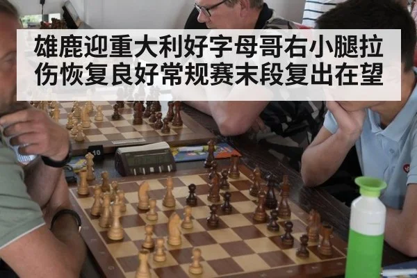 雄鹿迎重大利好字母哥右小腿拉伤恢复良好常规赛末段复出在望